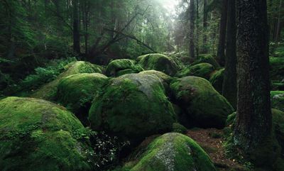 landscape-photography-kilian-chonberger-06.jpg