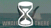 whale hello there.gif
