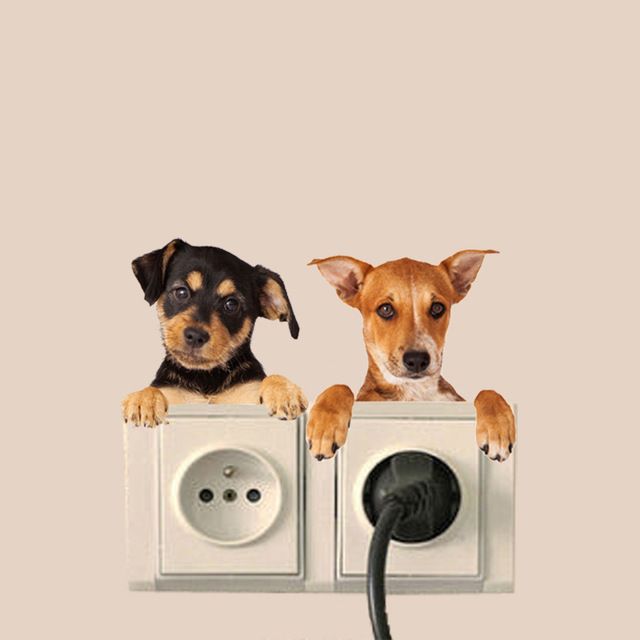 Hole-View-Vivid-Cats-Dog-3D-Wall-Sticker-Bathroom-Switch-Living-Room-Kitchen-Decor-Animal.jpg_640x640.jpg