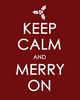 christmas-funny-meme-Favim.com-245174.jpg